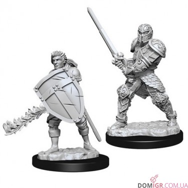 Male Human Fighter - D&D Nolzur's Marvelous Miniatures - W8