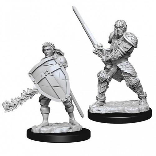 Male Human Fighter - D&D Nolzur's Marvelous Miniatures - W8