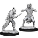 Male Human Monk - D&D Nolzur's Marvelous Miniatures - W8