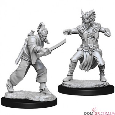 Male Human Monk - D&D Nolzur's Marvelous Miniatures - W8