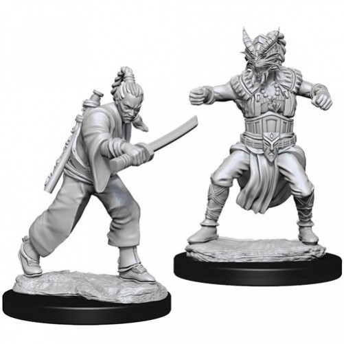 Male Human Monk - D&D Nolzur's Marvelous Miniatures - W8