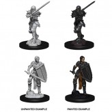 Female Human Fighter - D&D Nolzur's Marvelous Miniatures - W9