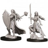 Female Elf Paladin - D&D Nolzur's Marvelous Miniatures - W9 Купить Female Elf Paladin - D&D Nolzur's Marvelous Miniatures - W9 (Wave 9 - Dungeons & Dragons Nolzur’s Marvelous Miniatures, Pathfinder Deep Cuts, Wizkids Deep Cuts)
