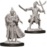 Male Elf Paladin - D&D Nolzur's Marvelous Miniatures - W9
