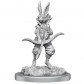 Купить Paint Kit: Harengon - D&D Nolzur's Marvelous Miniatures Paint Kit: Harengon - D&D Nolzur's Marvelous Miniatures