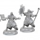 Male Human Wizard - Pathfinder Legendary Cuts - W1