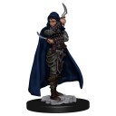 Female Human Rogue - Pathfinder Battles: Premium Painted Figure