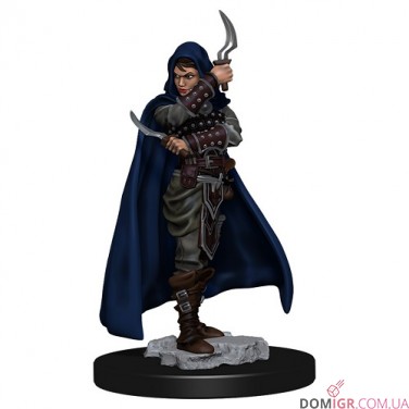 Female Human Rogue - Pathfinder Battles: Premium Painted Figure