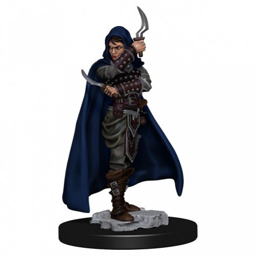 Female Human Rogue - Pathfinder Battles: Premium Painted Figure
