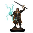 Male Human Cleric - Pathfinder Battles: Premium Painted Figure