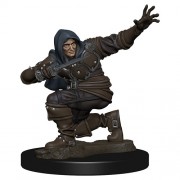 Male Human Rogue - Pathfinder Battles: Premium Painted Figure