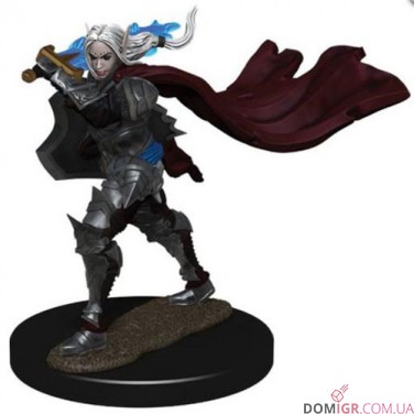 Female Elf Paladin (champion) - Pathfinder Battles: Premium Painted Figure