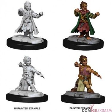 Male Halfing Monk - Pathfinder Deep Cuts - W15