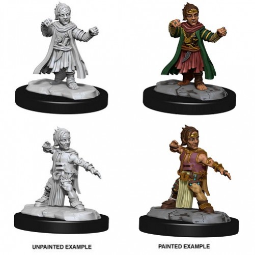 Male Halfing Monk - Pathfinder Deep Cuts - W15