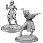 Female Half-Elf Monk - Pathfinder Deep Cuts - W21