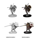 Female Human Paladin - Pathfinder Deep Cuts - W1