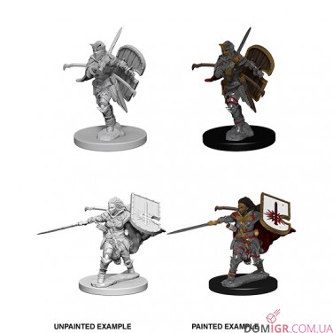 Female Human Paladin - Pathfinder Deep Cuts - W1