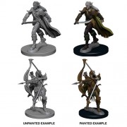 Male Elf Fighter - Pathfinder Deep Cuts - W1