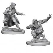 Male Human Rogue - Pathfinder Deep Cuts - W1