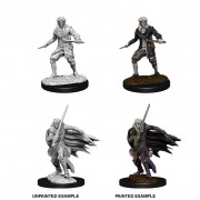 Male Elf Rogue - Pathfinder Deep Cuts - W10