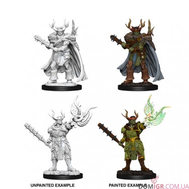 Male Half-Orc Druid - Pathfinder Deep Cuts - W10