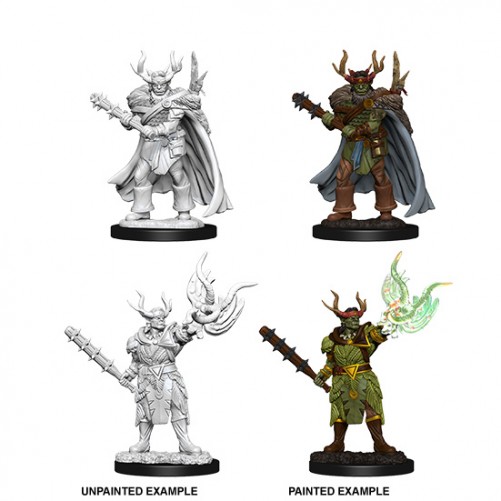 Male Half-Orc Druid - Pathfinder Deep Cuts - W10