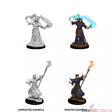 Купить Male Human Sorcerer - Pathfinder Deep Cuts - W11 Male Human Sorcerer - Pathfinder Deep Cuts - W11