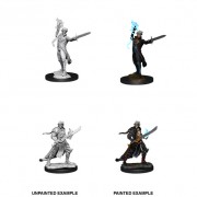 Male Elf Magus (Magic User) - Pathfinder Deep Cuts - W11