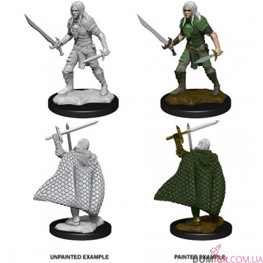 Male Elf Fighter - Pathfinder Deep Cuts - W13