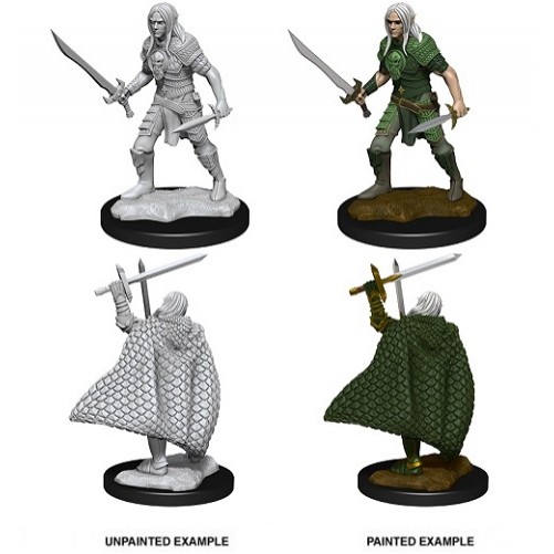 Male Elf Fighter - Pathfinder Deep Cuts - W13
