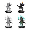 Male Elf Sorcerer  - Pathfinder Deep Cuts - W14