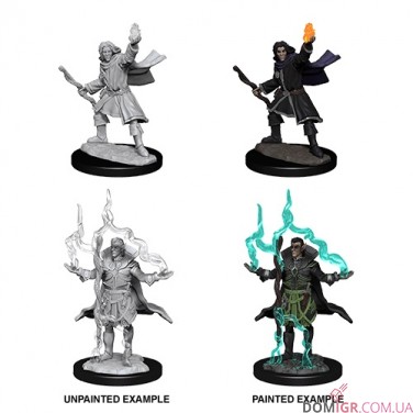 Male Elf Sorcerer  - Pathfinder Deep Cuts - W14