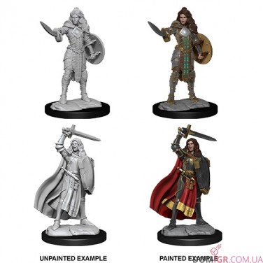 Female Human Champion - Pathfinder Deep Cuts - W14