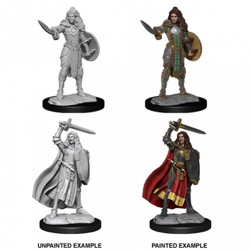 Female Human Champion - Pathfinder Deep Cuts - W14