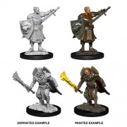 Male Human Champion - Pathfinder Deep Cuts - W14
