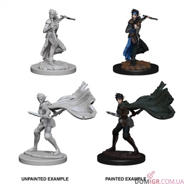 Female Elf Rogue - Pathfinder Deep Cuts - W4