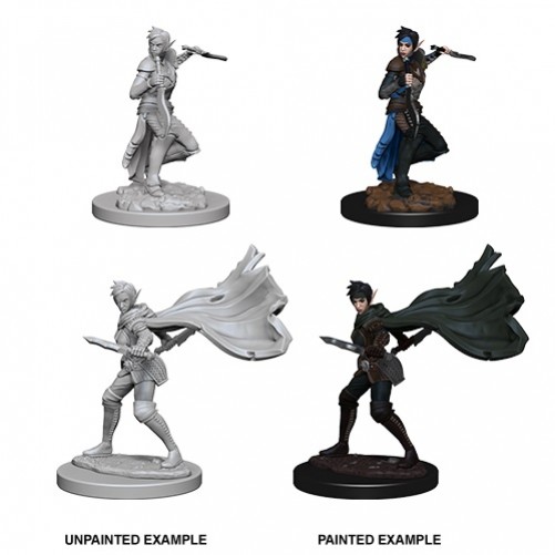 Female Elf Rogue - Pathfinder Deep Cuts - W4