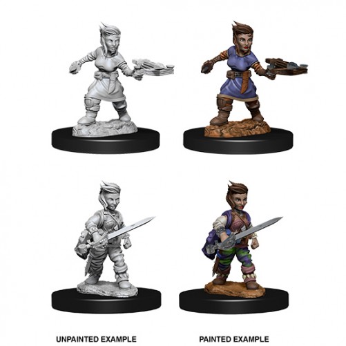 Female Halfling Rogue - Pathfinder Deep Cuts - W8