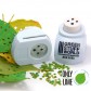 GSW - Leaf Punch Light Blue