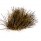 Winter Tuft (BF4223)