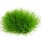Woodland Tuft (BF4224)