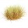 Mountain Tuft (BF4227)
