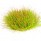 Jungle Tuft (BF4228)