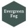 Evergreen Fog