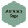 Autumn Sage
