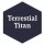 Terrestrial Titan