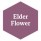 Elder Flower