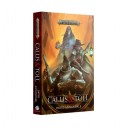 Книга «Callis & Toll (Paperback)»