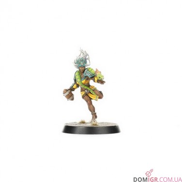 Amazon Blood Bowl Team – Kara Temple Harpies