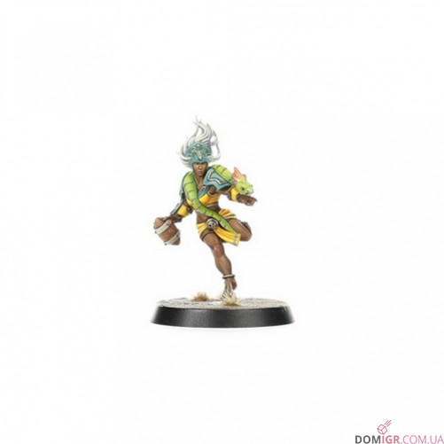 Amazon Blood Bowl Team – Kara Temple Harpies